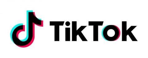 TikTokは最強だろ